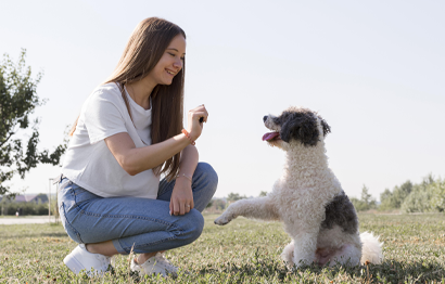 Spoil Your Silver Muzzle: Caring for Senior Dogs