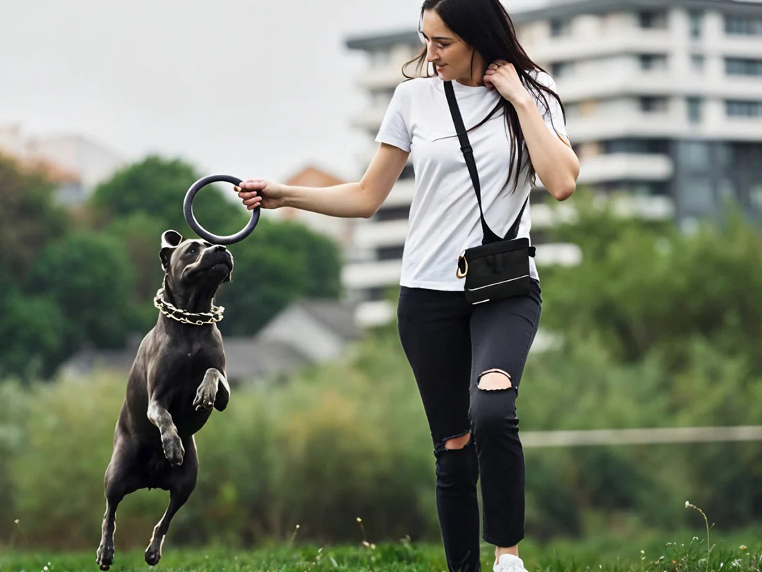 Elevate Your Dog Training Game with the Large Professional Dog Treat Pouch