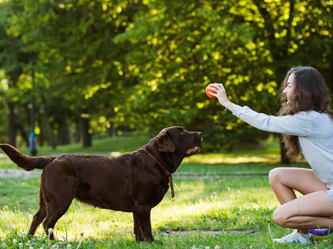 The Importance Of Play