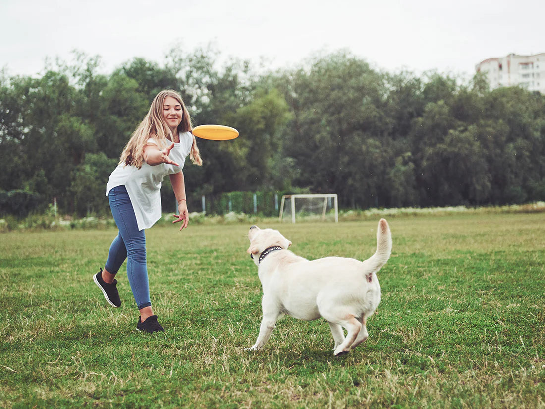 Unleash the Fun: Why Playtime is Pet-Parent Gold