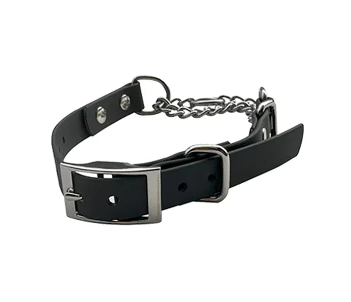 Martingale Collar