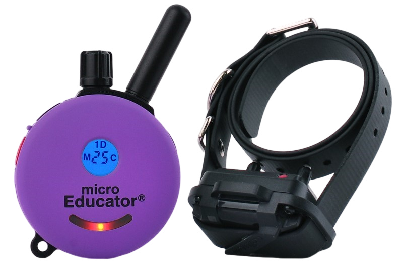 Educator ECollars SafeDog