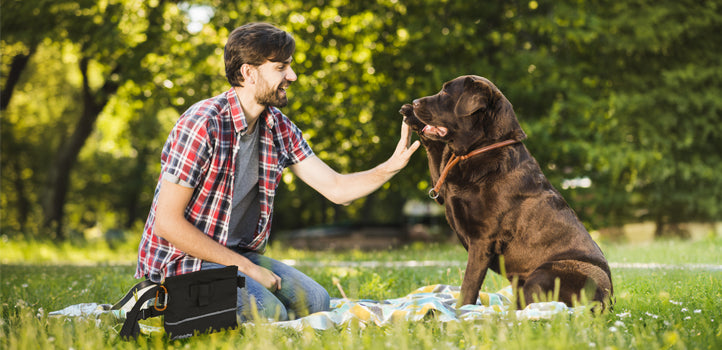 Enhancing Training Sessions: The Professional Dog Treat Pouch