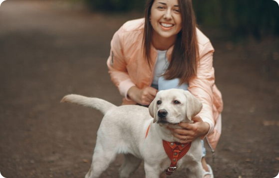 How I introduced Raw Food To My Dogs
