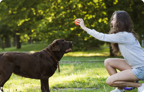The Importance Of Play