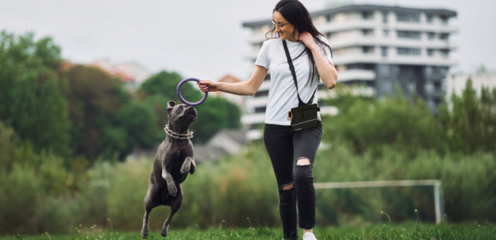 Elevate Your Dog Training Game with the Large Professional Dog Treat Pouch