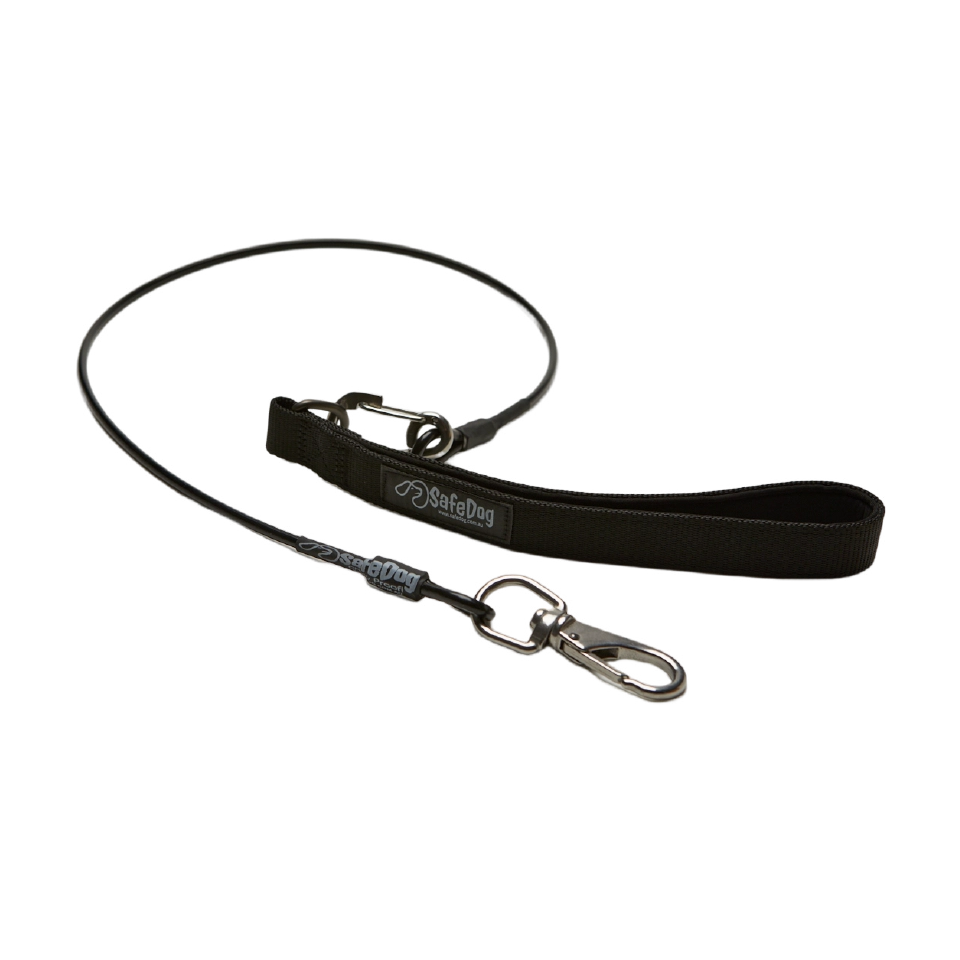 Chew proof dog leash australia online