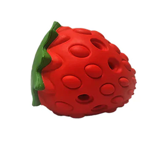 Enrichment Feeder - Strawberry