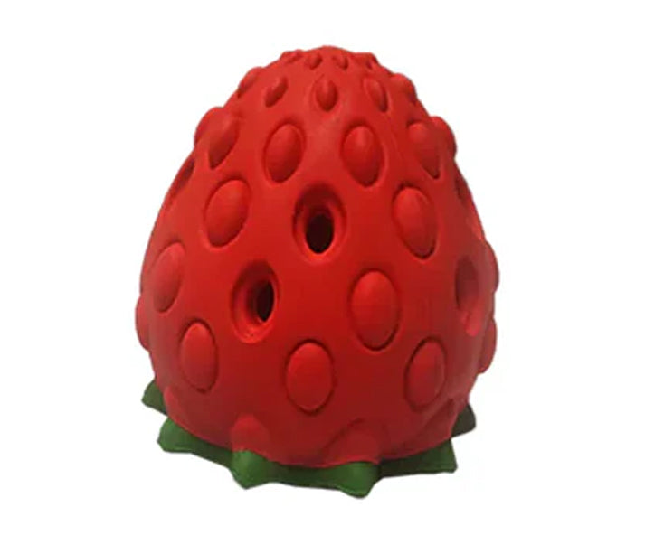 Enrichment Feeder - Strawberry
