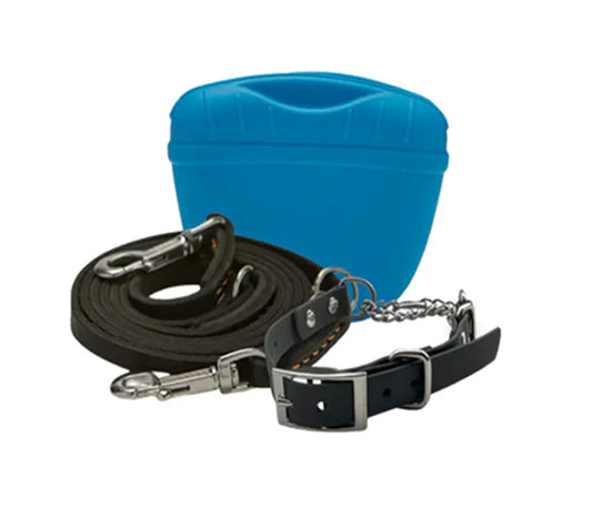 Leather Dog Leash + Silicone Pouch + Martingale Collar
