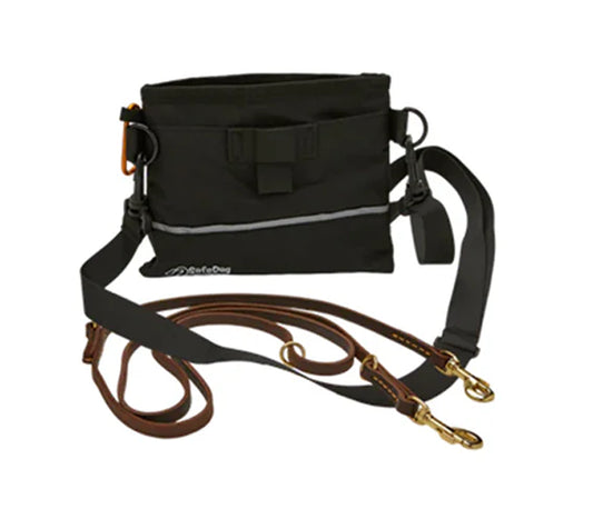 Leather Dog Leash +  Treat Pouch