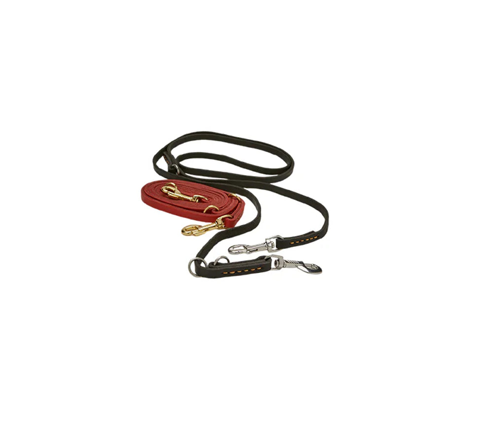 SafeDog K9 Pet Shop