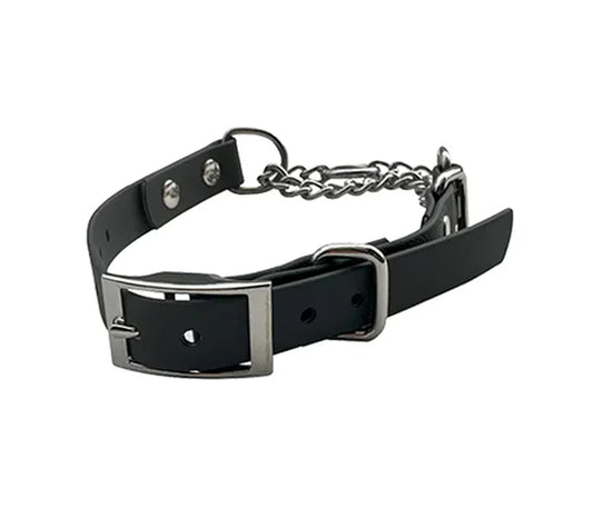 Martingale Collar