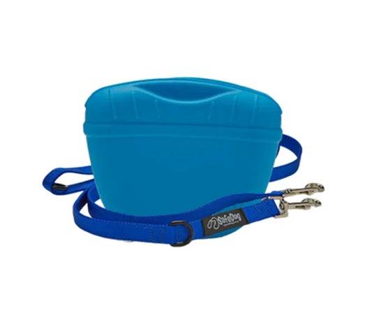 Nylon Dog Leash + Silicone Treat Pouch