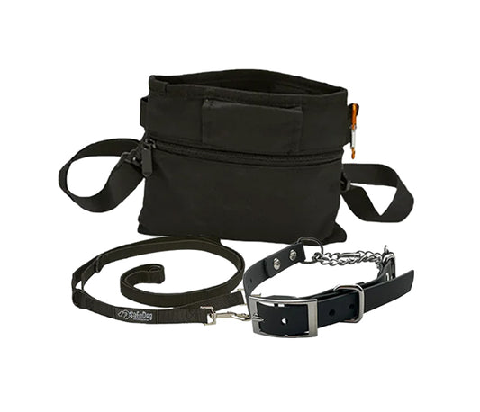 Nylon Dog Leash + Training Treat Pouch +  Martingale Collar