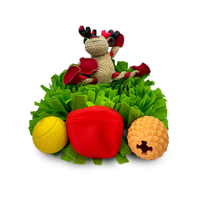 Snuffle Mats + Rope Toy + Enrichment Feeder - Pineapple + Silicone Treat Pouch + Dog Ball Feeders